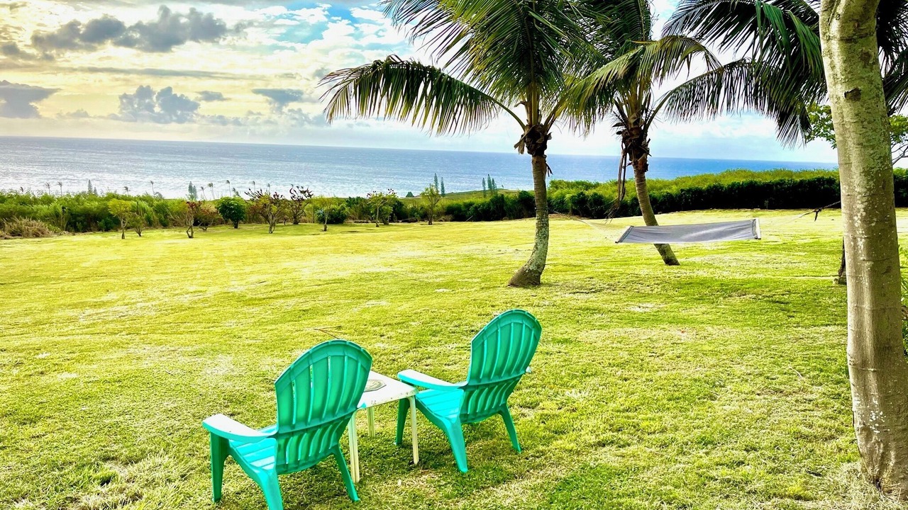 Photo of Outdoor in Hawi