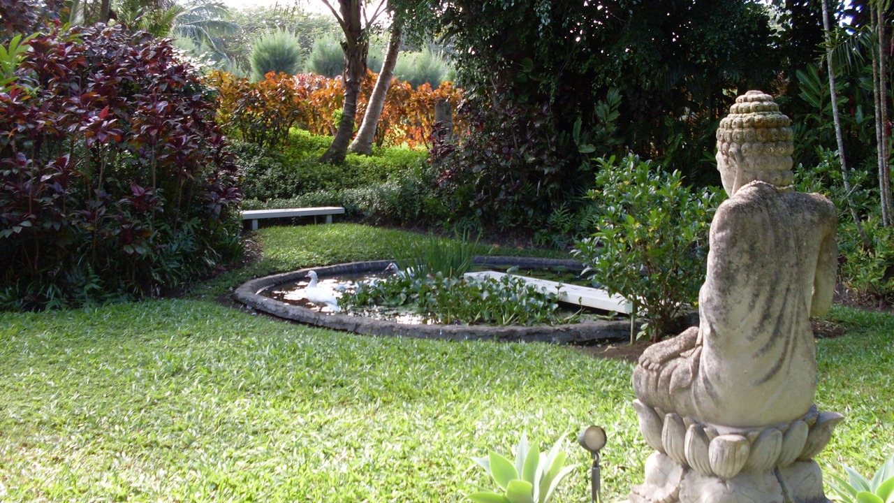 Photo of Outdoor in Haiku