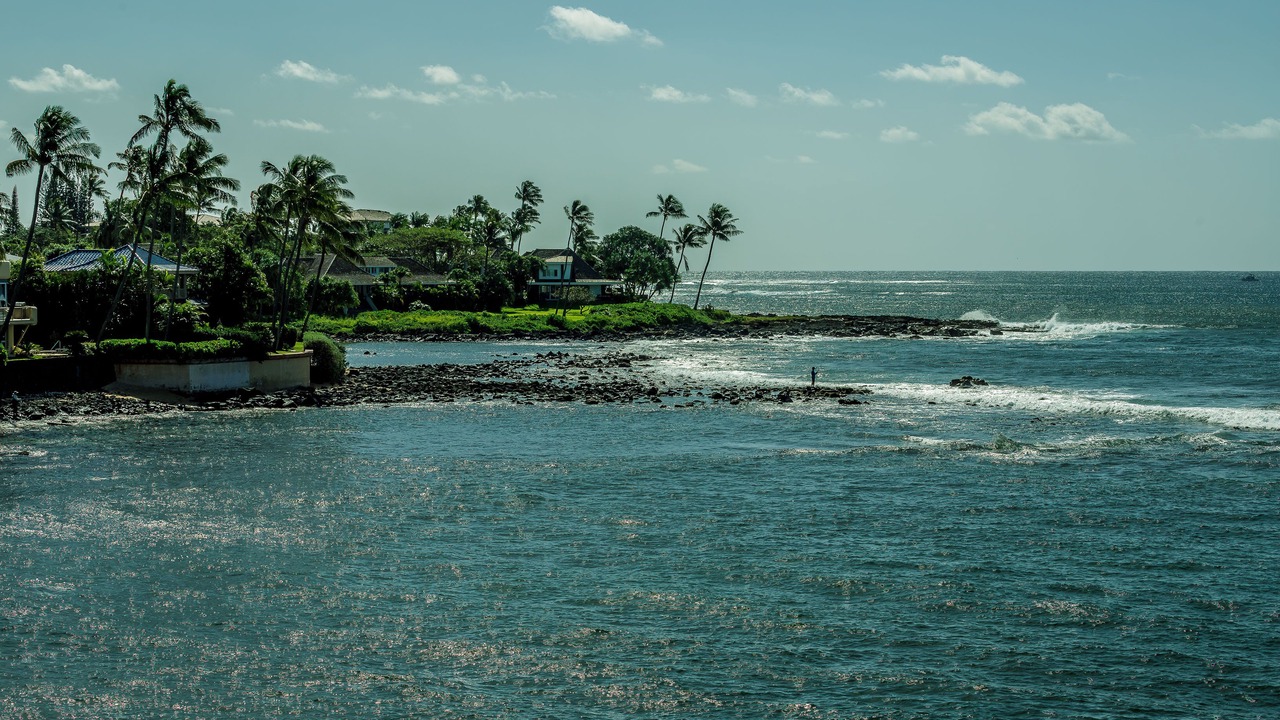 Photo of Others in Poipu