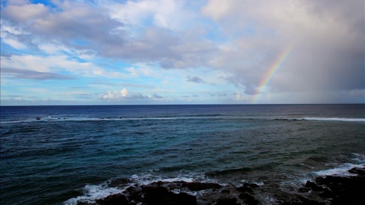 Photo of Others in Poipu