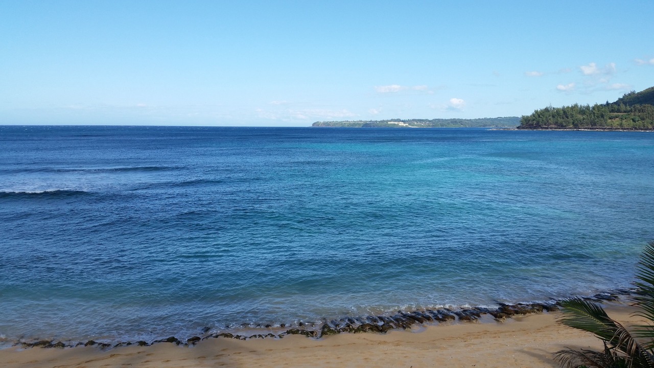 Photo of Others in Wainiha
