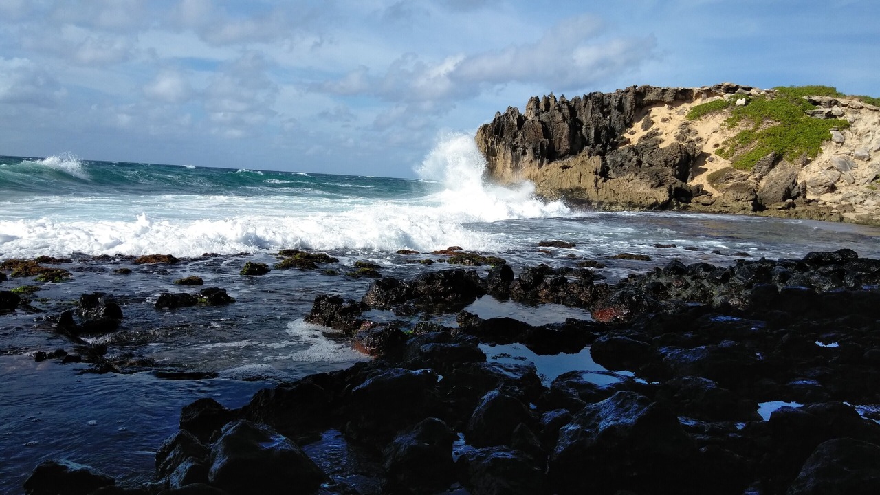 Photo of Others in Poipu
