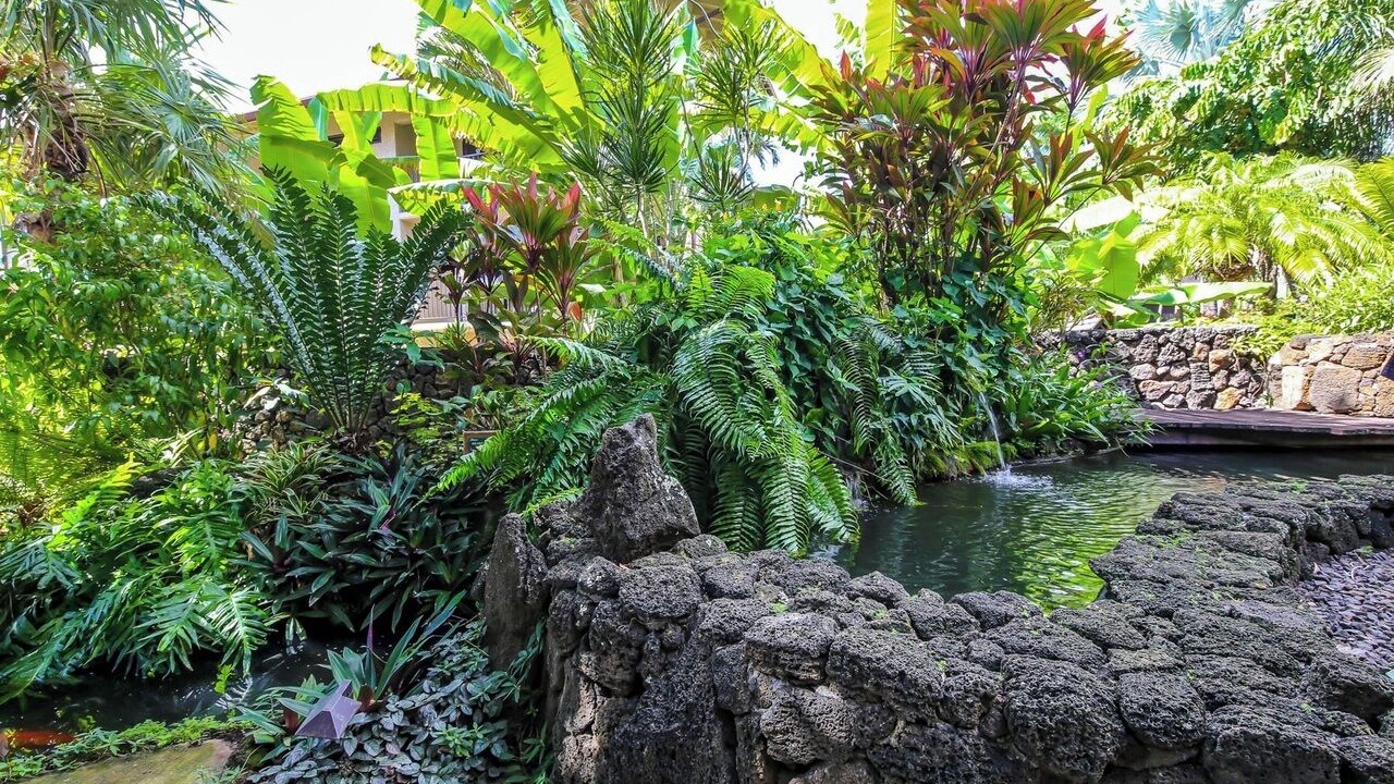 Photo of Outdoor in Poipu