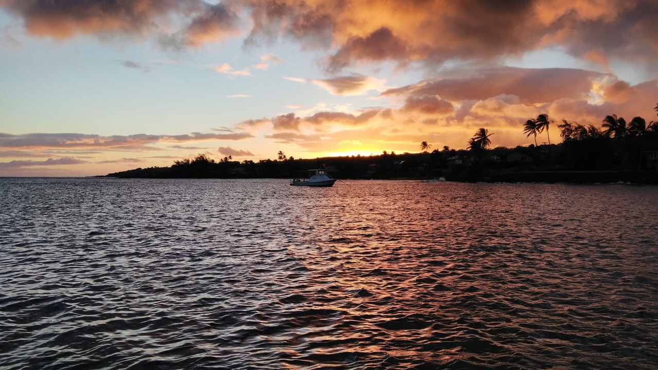 Photo of Others in Poipu