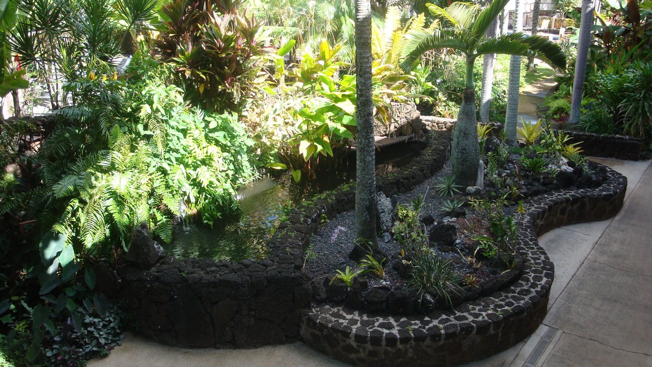 Photo of Outdoor in Poipu