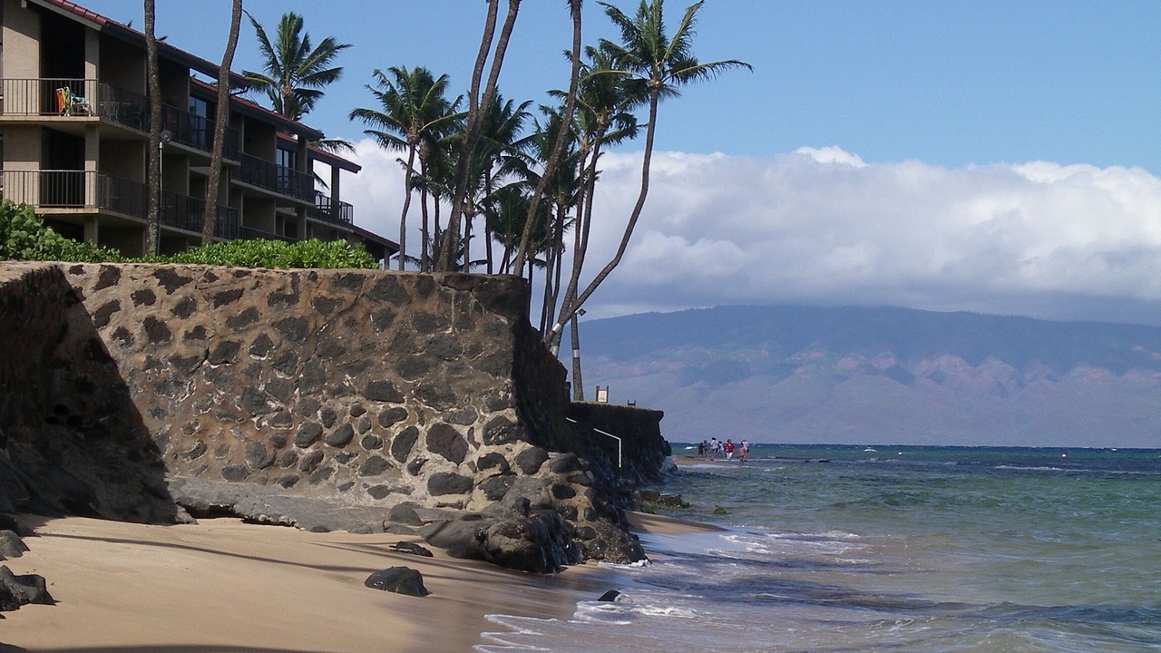 Photo of Others in Honokowai