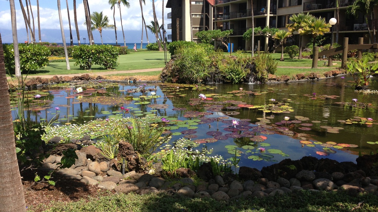 Photo of Others in Honokowai
