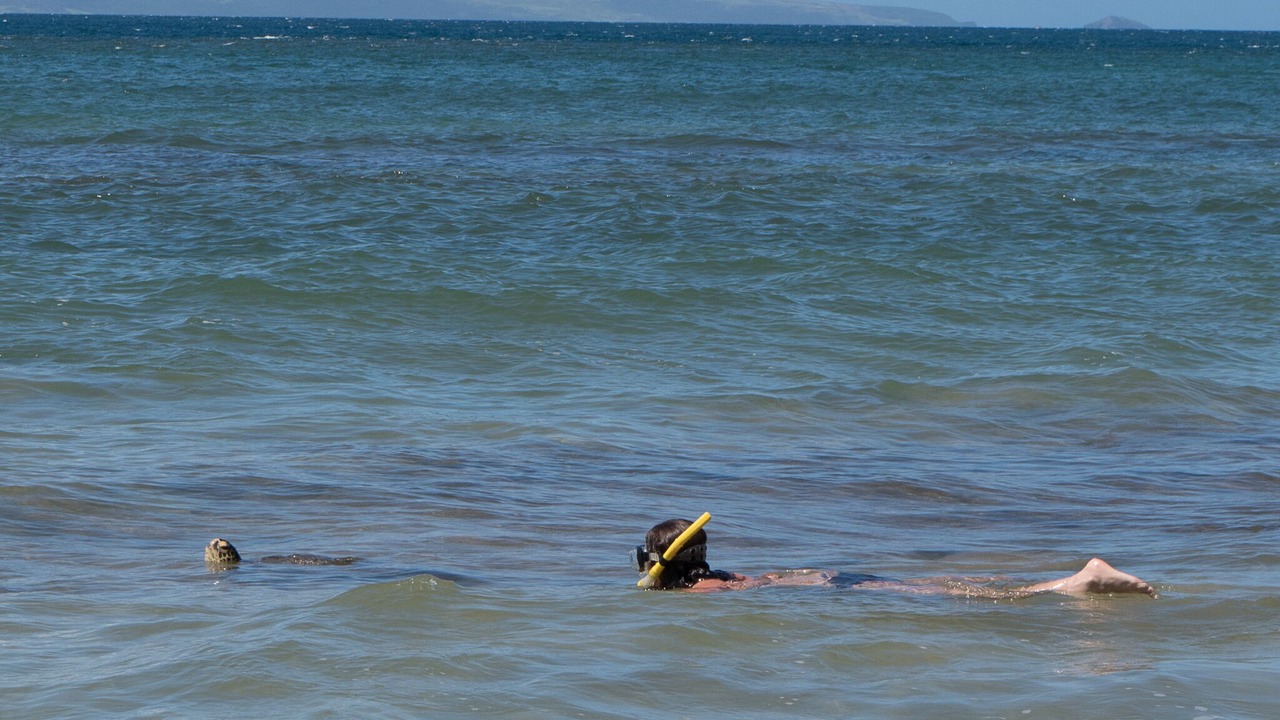 Photo of Others in Honokowai