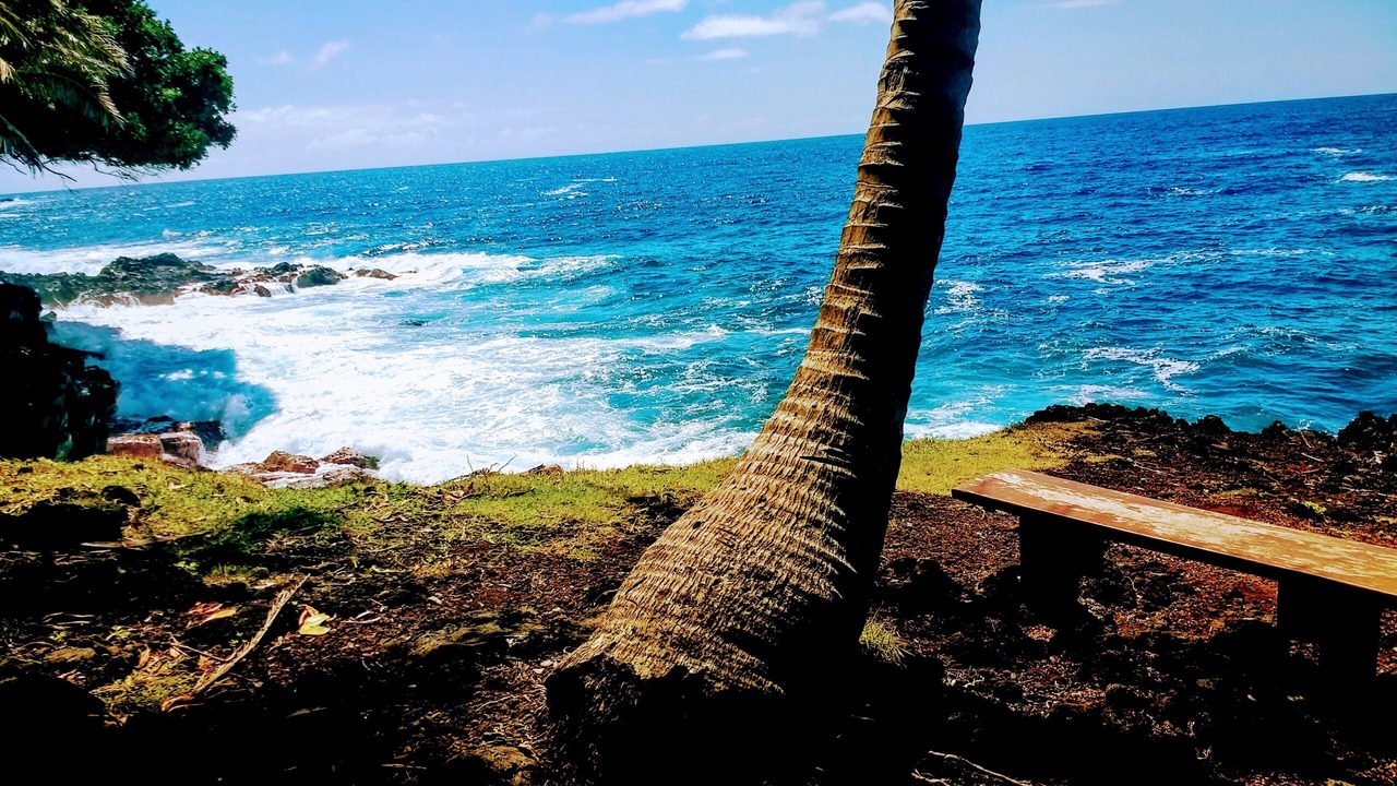Photo of Others in Pahoa