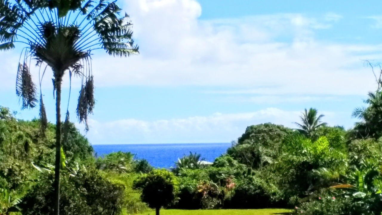 Photo of Others in Pahoa