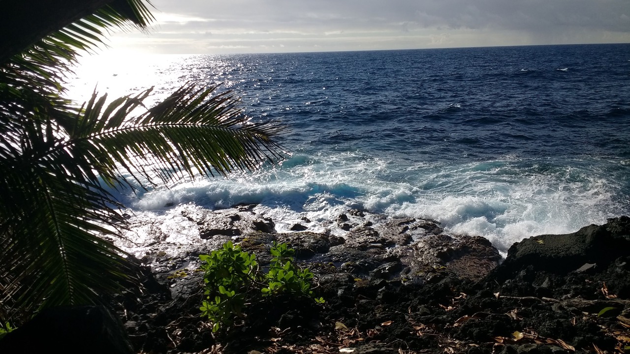 Photo of Others in Pahoa