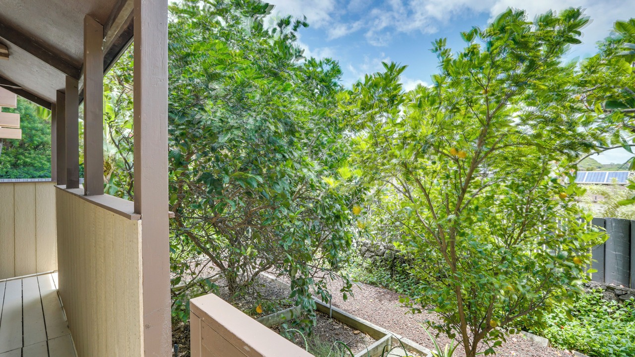 Photo of Outdoor in Hawaii Kai