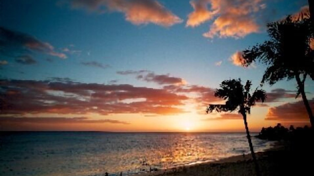 Photo of Others in Makaha