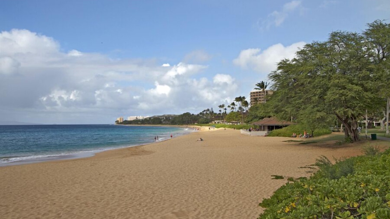 Photo of Others in Kaanapali