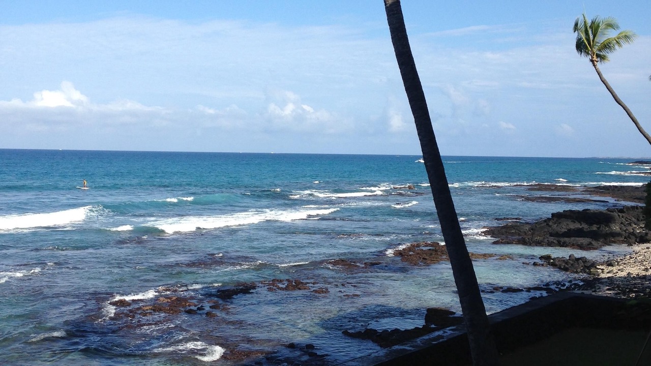 Photo of Others in Kailua-Kona