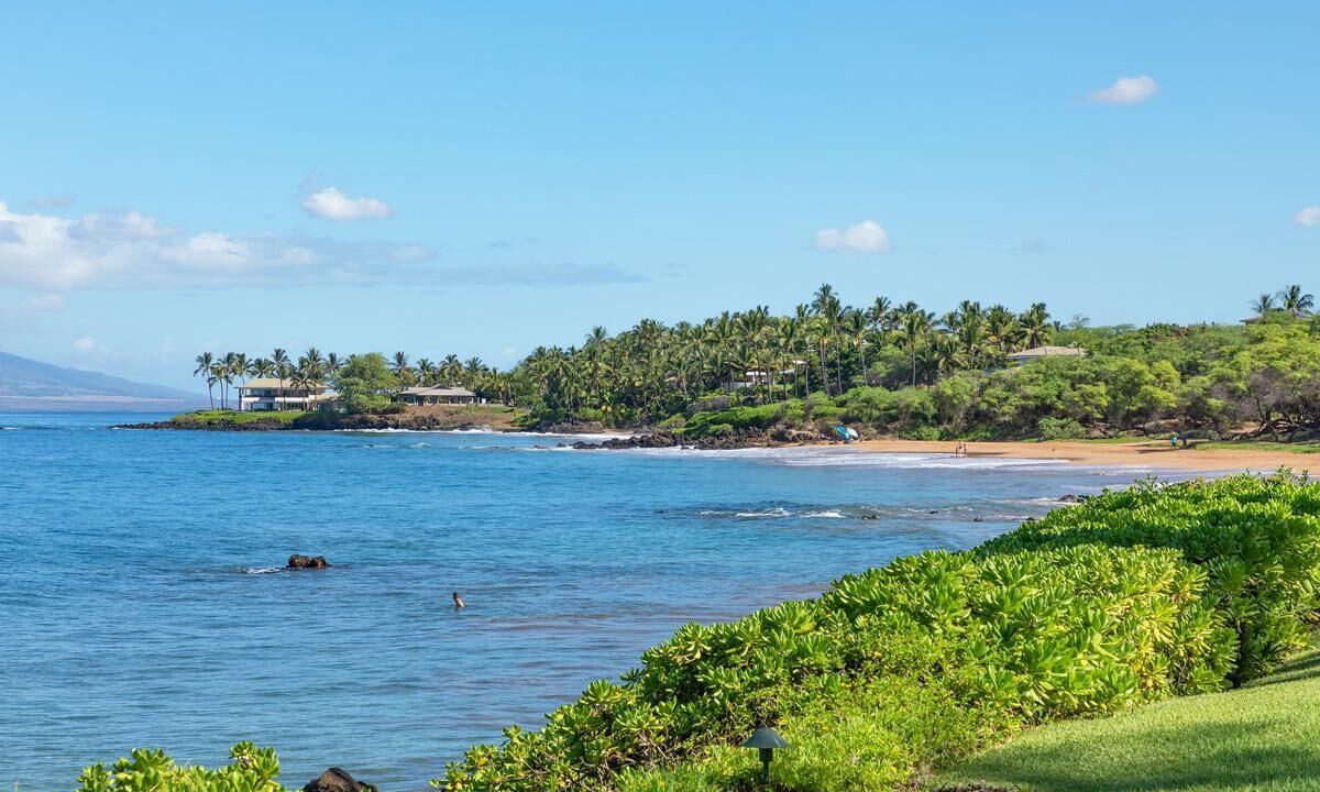 Photo of Others in Wailea