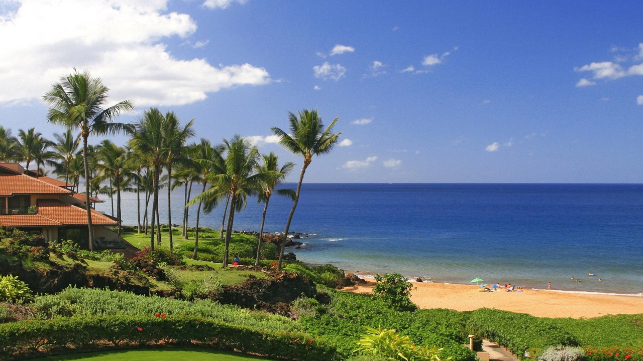 Photo of Others in Wailea