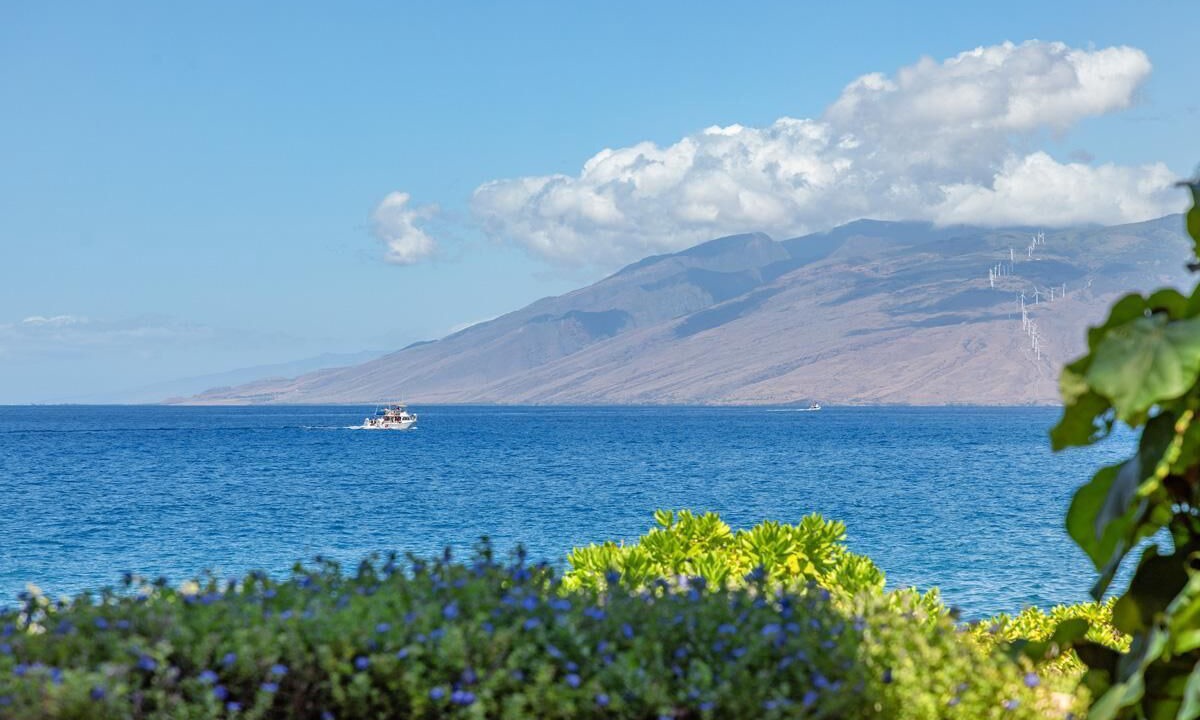 Photo of Others in Wailea