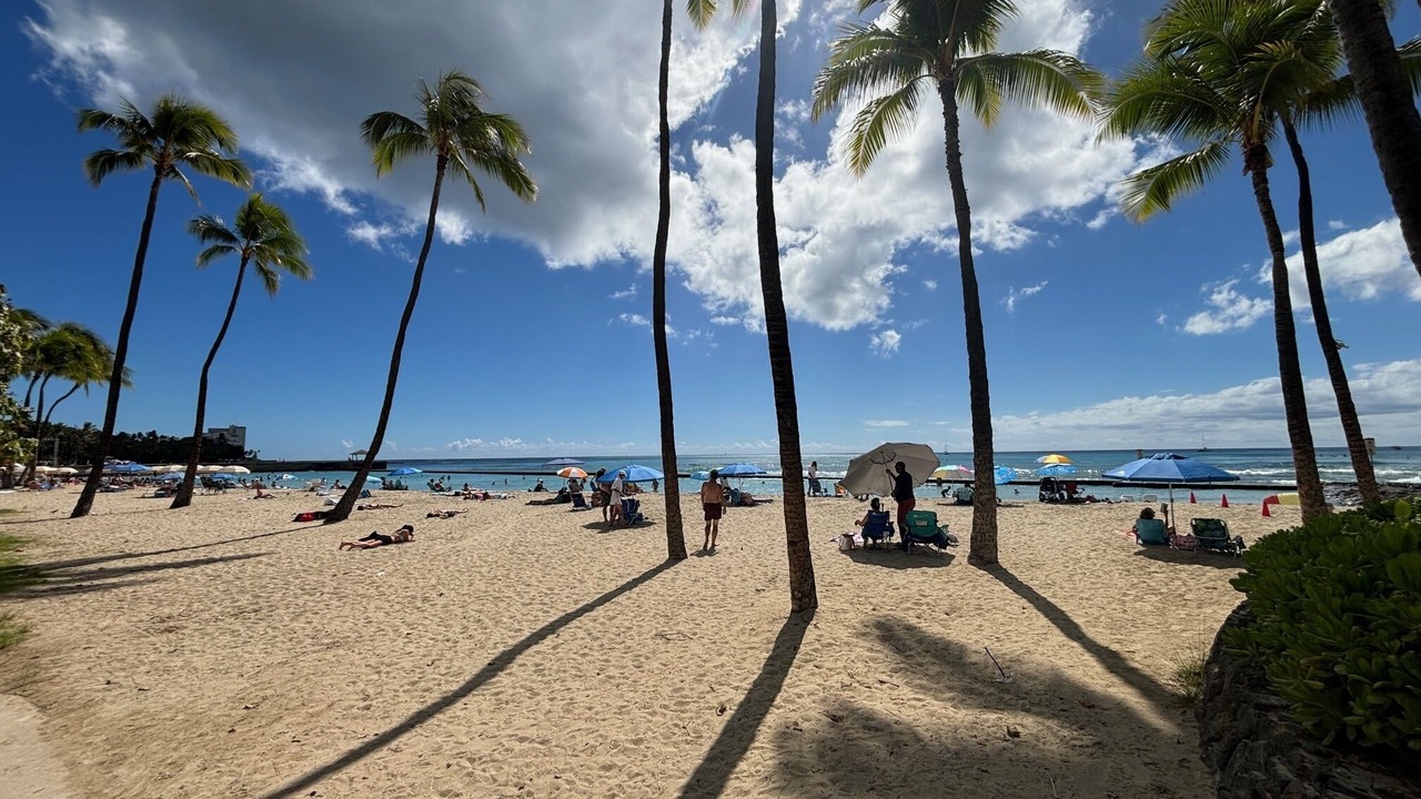 Photo of Others in Waikiki