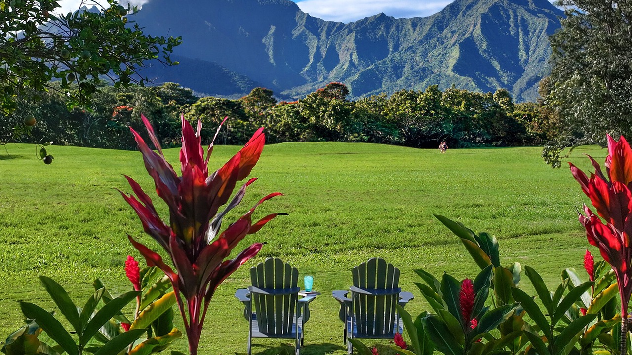 Photo of Others in Princeville