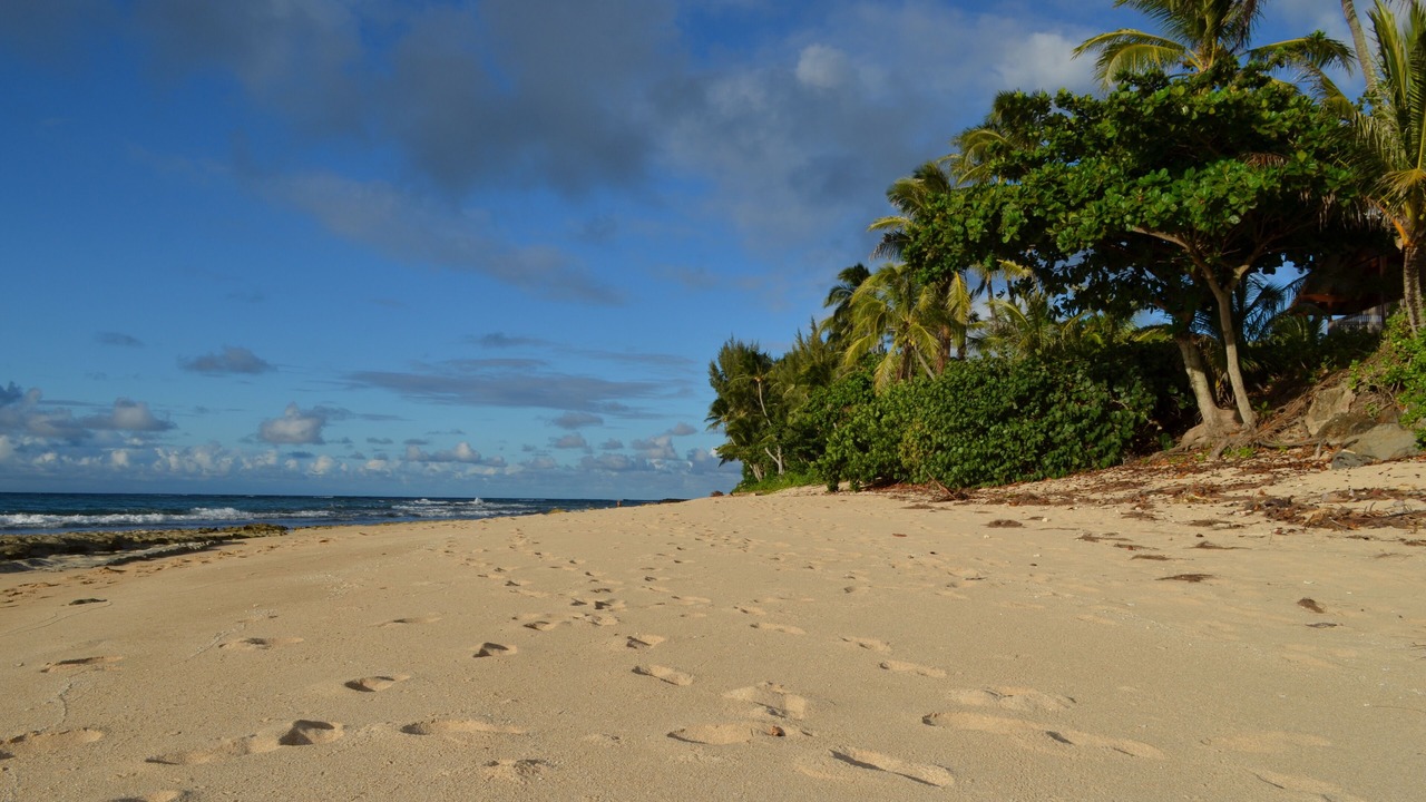 Photo of Others in Kawela Bay