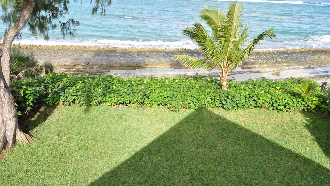 Photo of Others in Kawela Bay