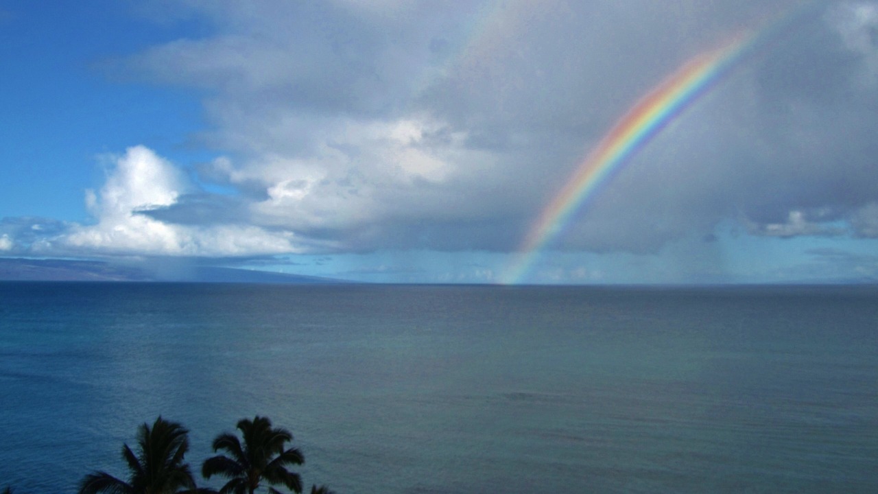 Photo of Others in Kahana