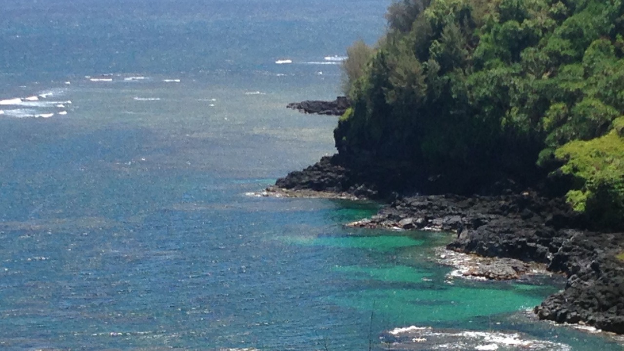 Photo of Others in Princeville