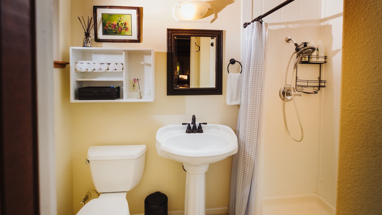 Photo of Bathroom in Hakalau