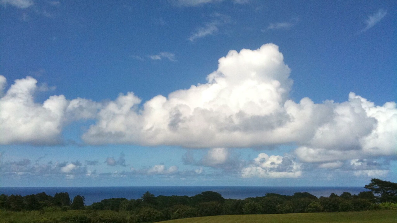 Photo of Others in Hakalau