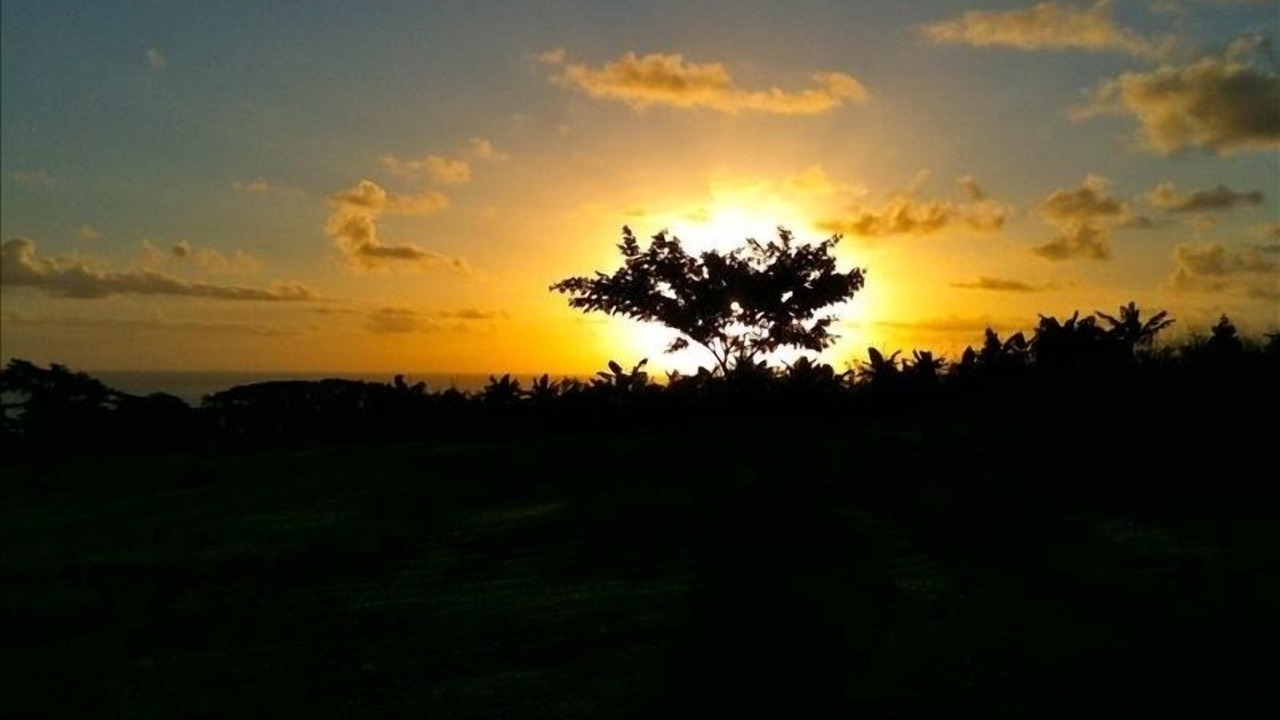 Photo of Others in Hakalau