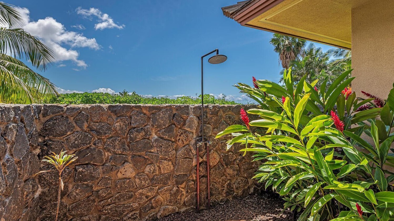 Photo of Outdoor in Downtown Lahaina