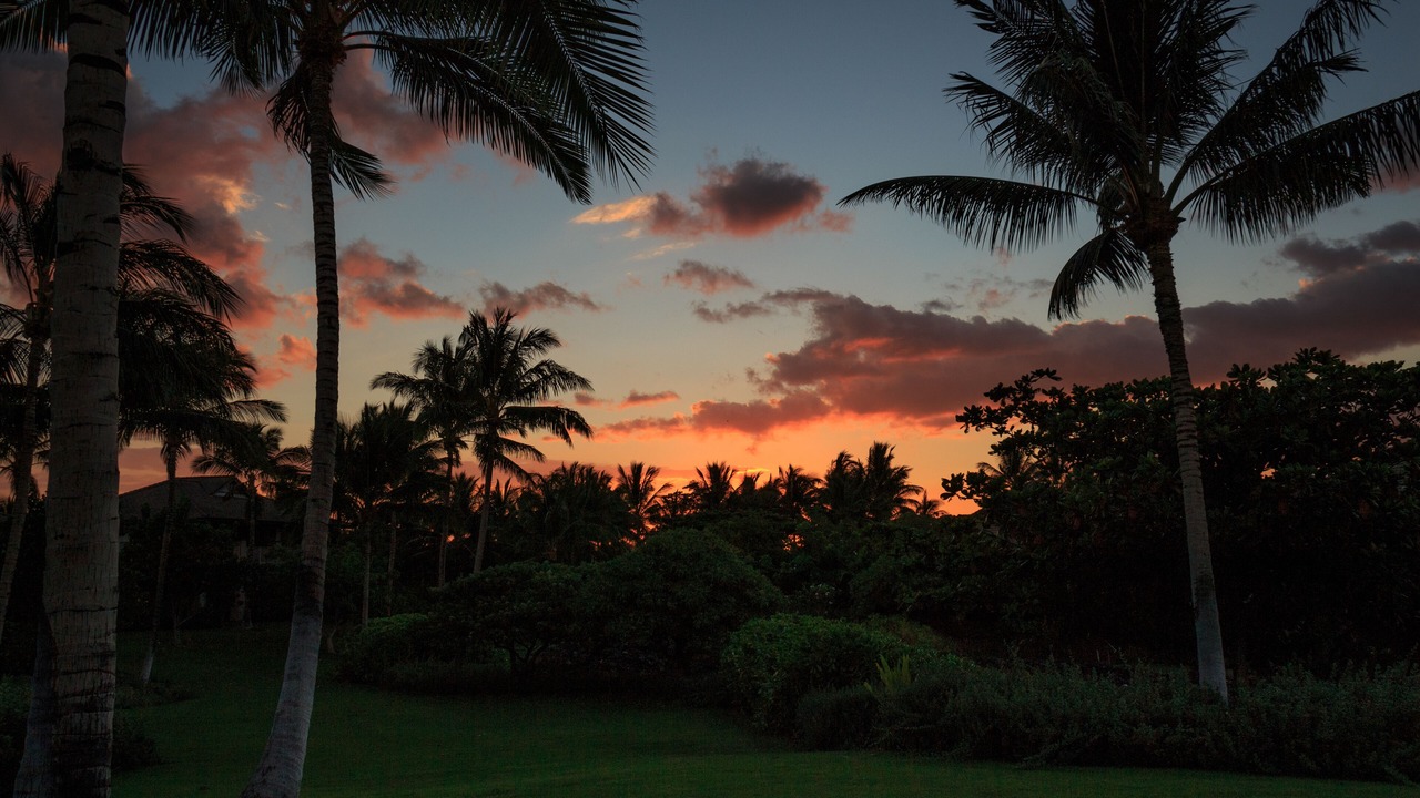 Photo of Others in Kulalani