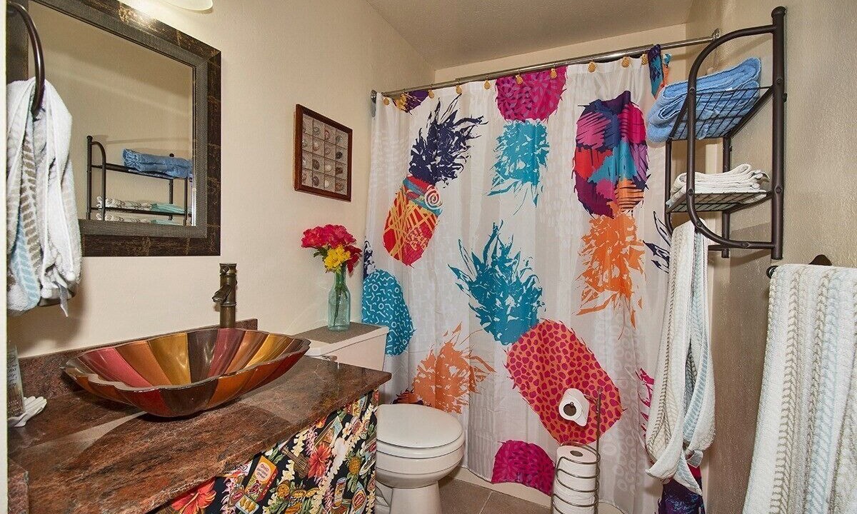 Photo of Bathroom in Kapoho