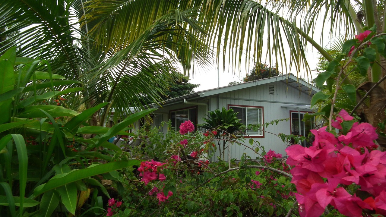 Photo of Others in Leilani Estates