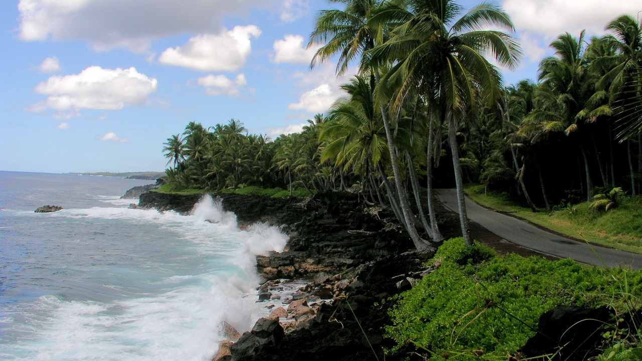 Photo of Others in Leilani Estates