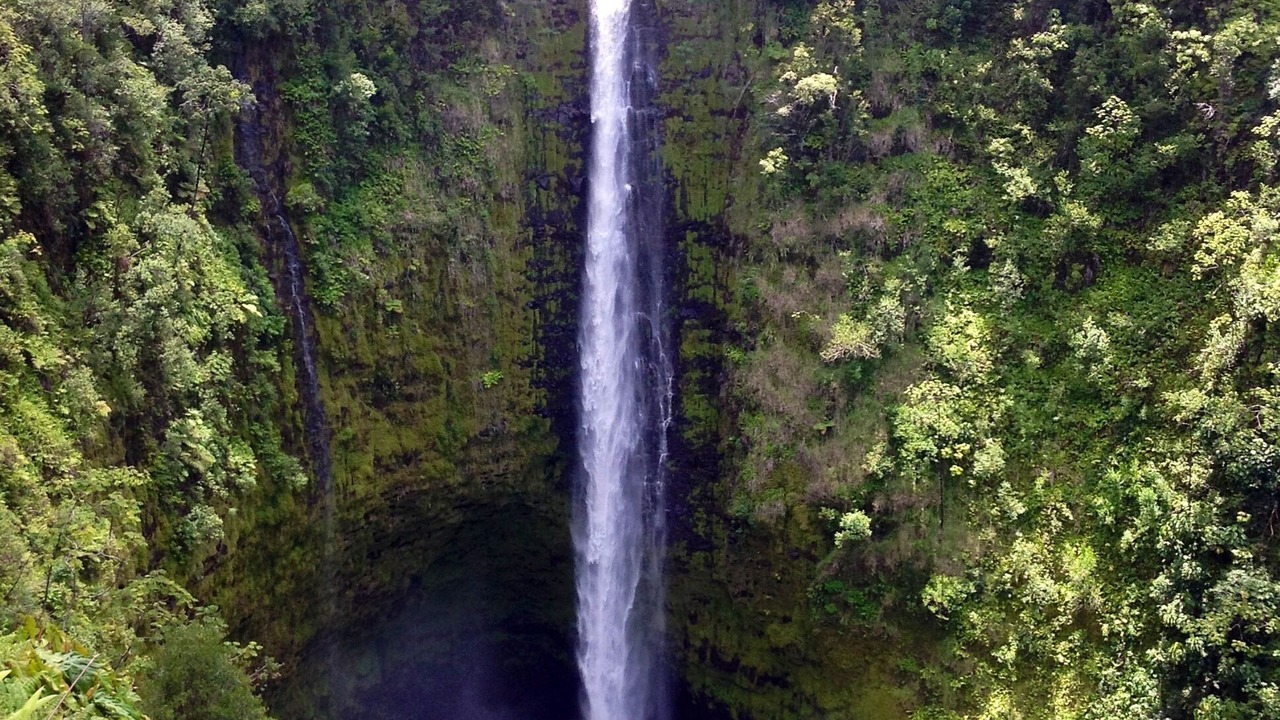 Photo of Others in Leilani Estates