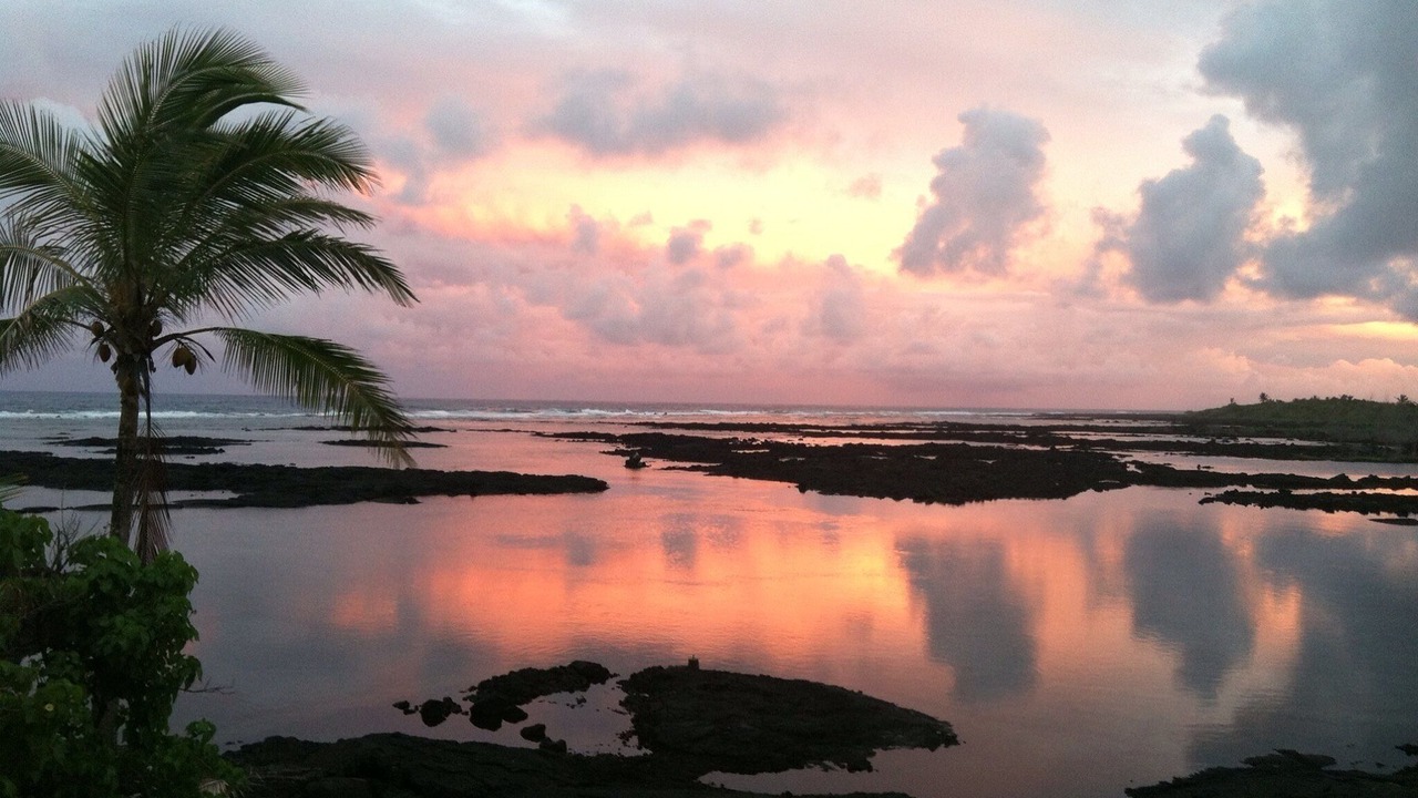 Photo of Others in Leilani Estates
