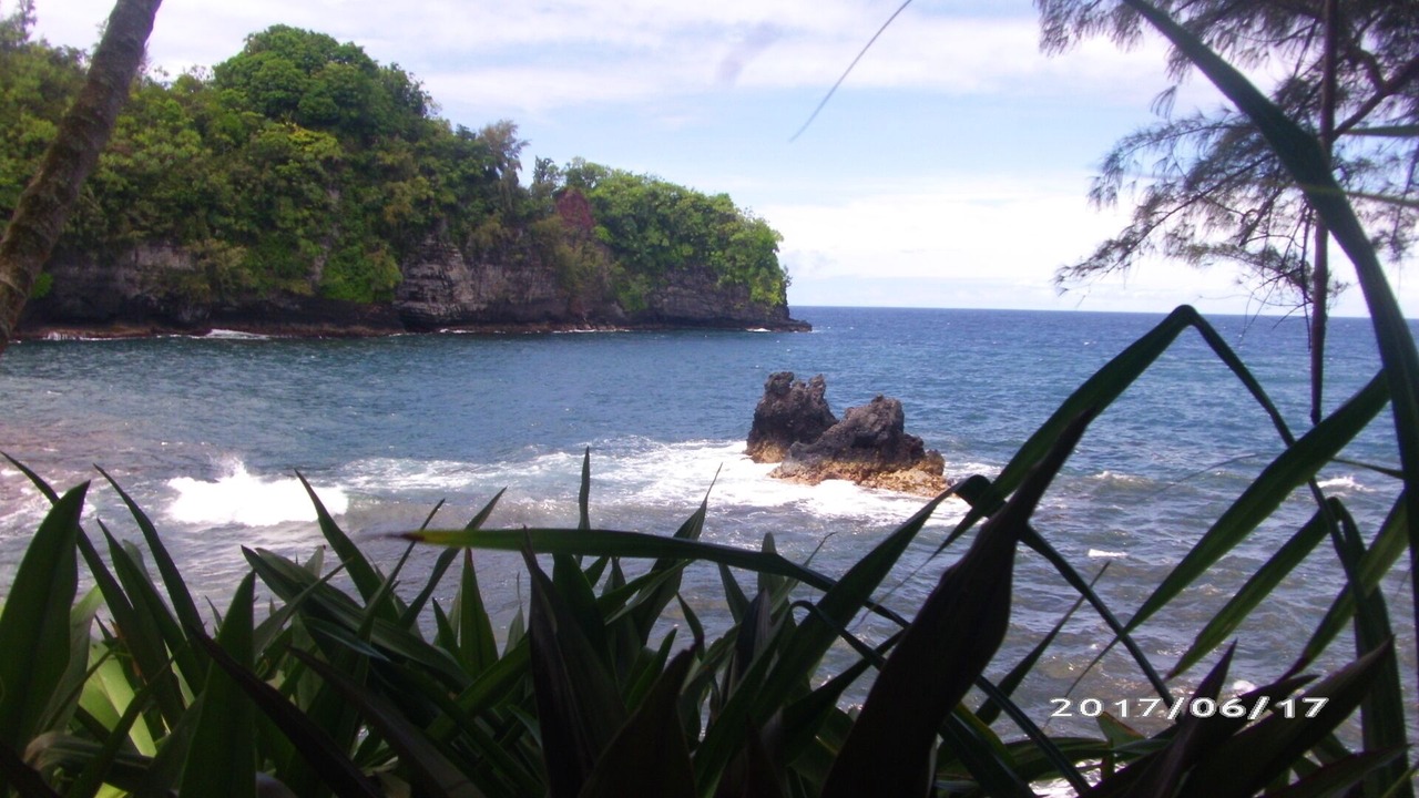Photo of Others in Leilani Estates