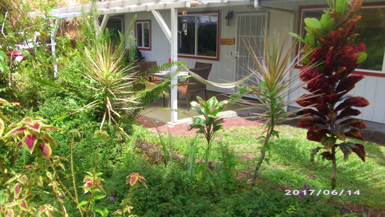 Photo of Others in Leilani Estates