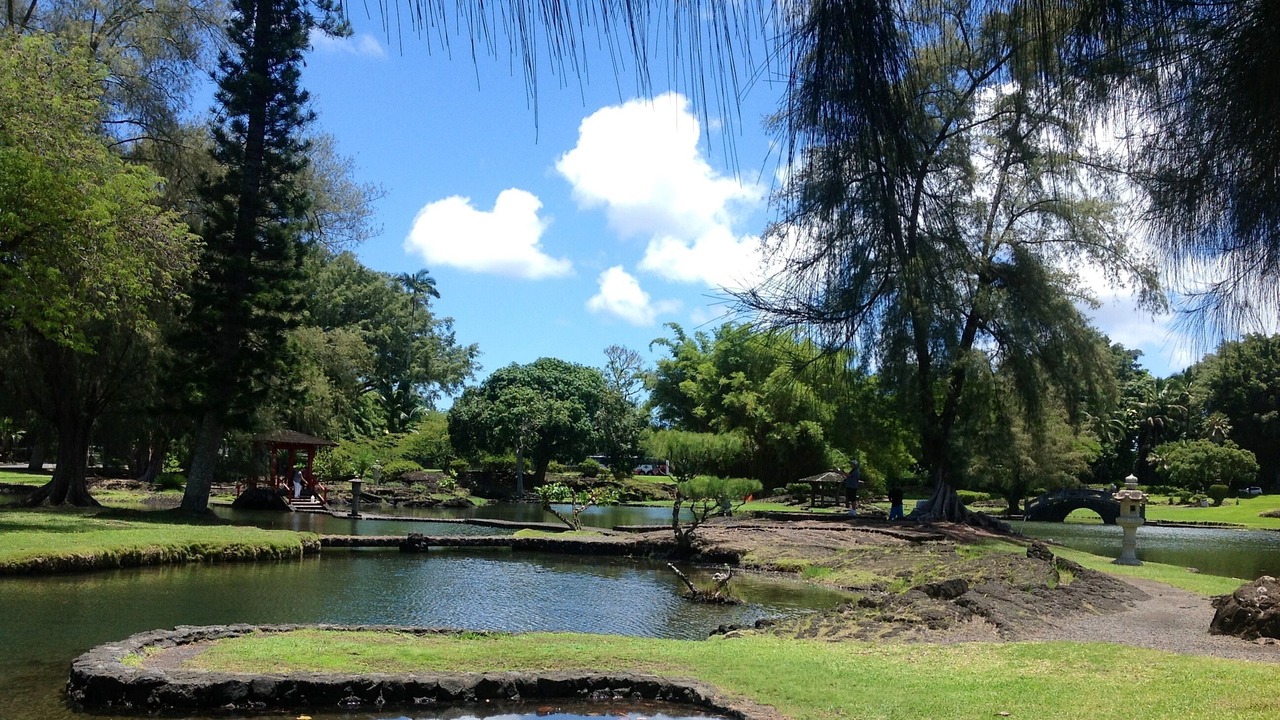 Photo of Others in Leilani Estates