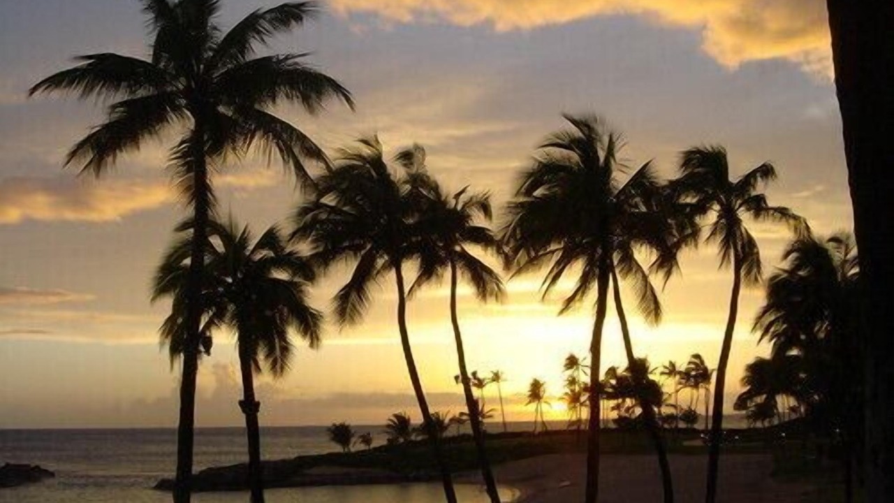 Photo of Others in Kapolei