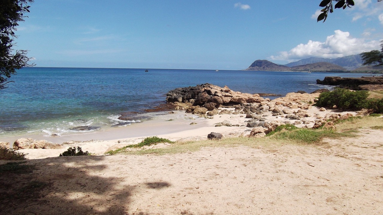 Photo of Others in Kapolei