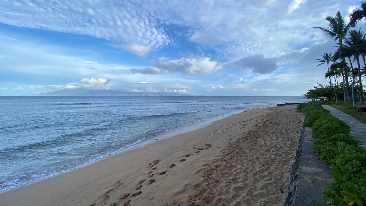 Photo of Others in Honokowai