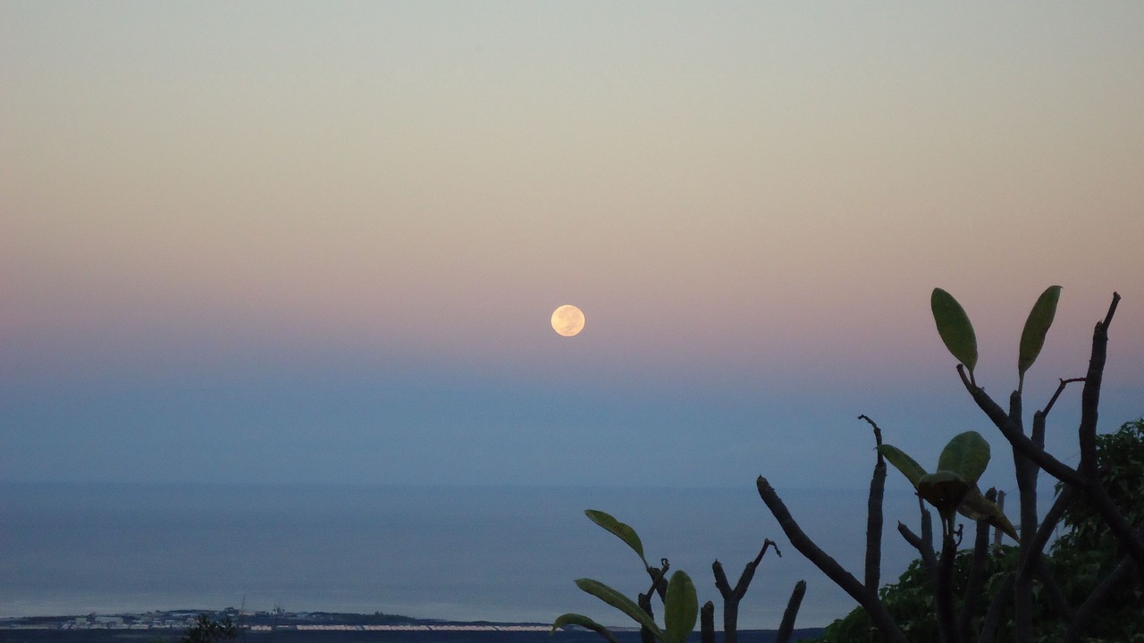 Photo of Others in Kona Palisades