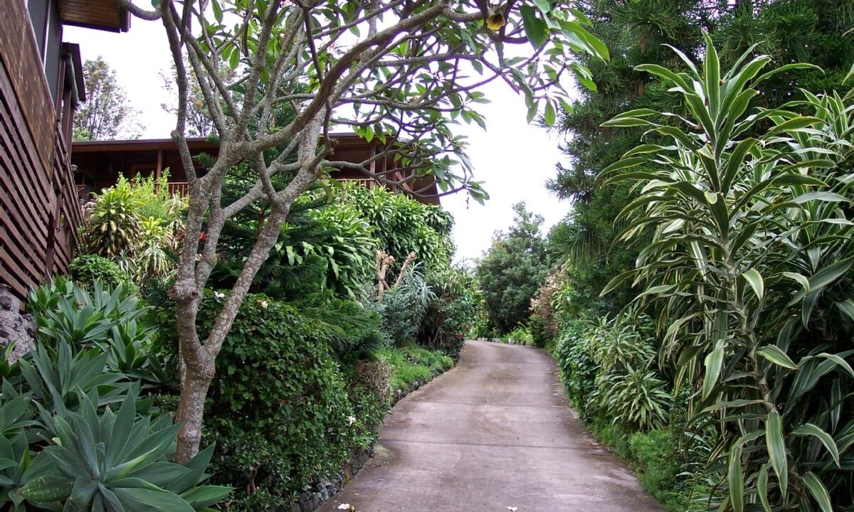 Photo of Others in Kona Palisades