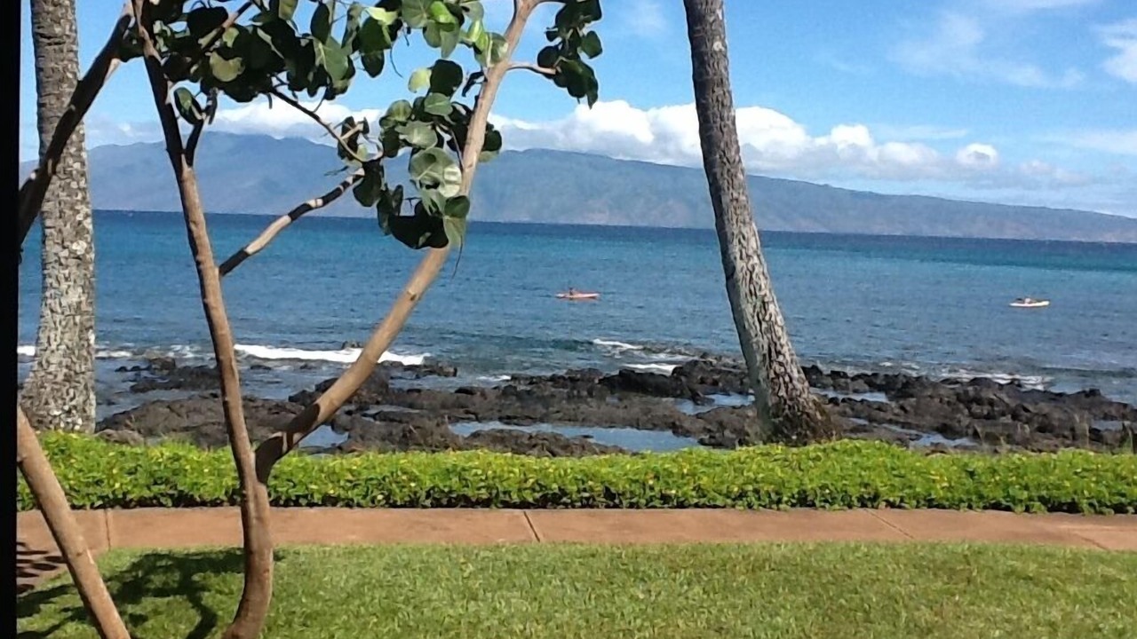 Photo of Outdoor in Napili