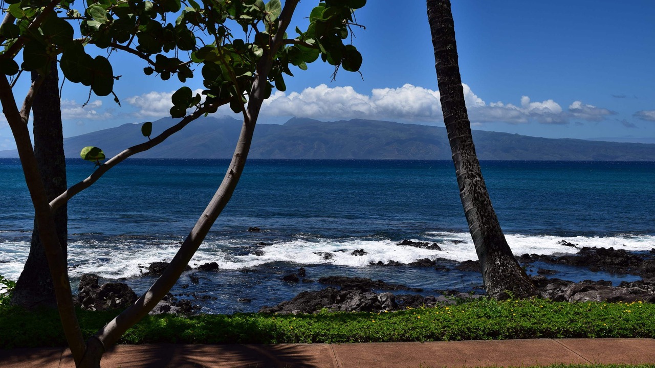 Photo of Others in Napili