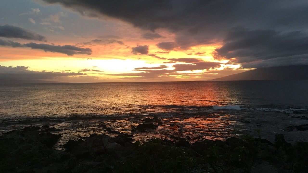 Photo of Others in Napili