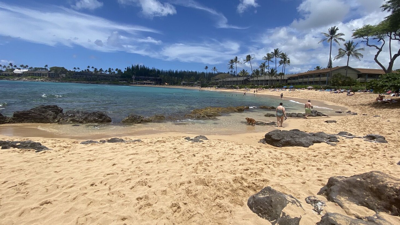 Photo of Others in Napili